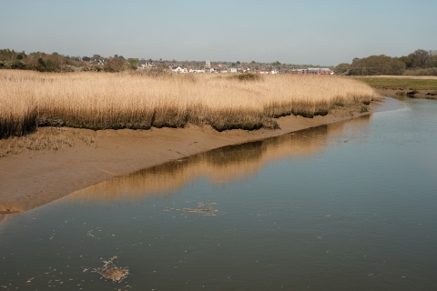 16th April 2022 - Walk down the estuary at Rowhedge